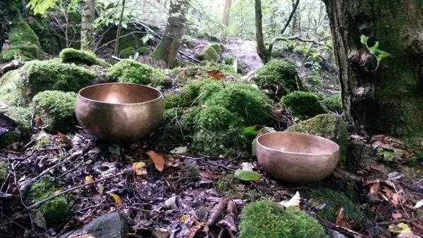 Bowls in roslin